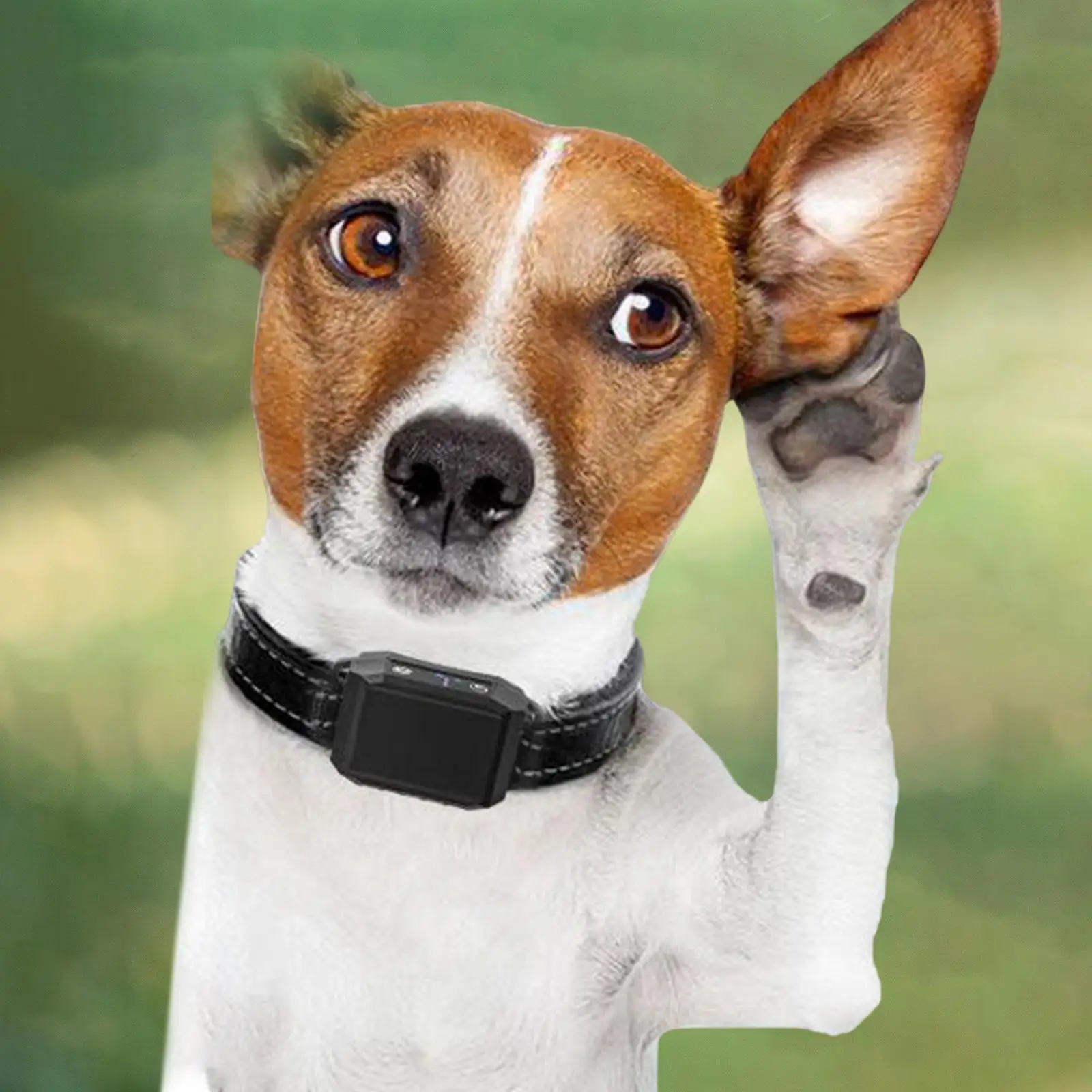 Portable Dog Anti Bark Collar Stop Barking Training Device Adjustable Strap for Dog Dog Training