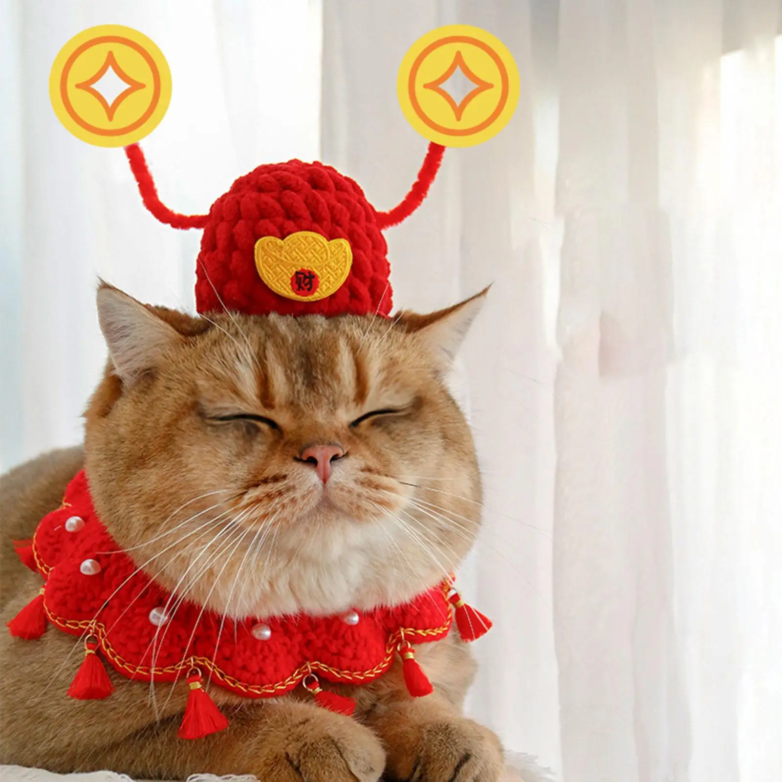 God of Wealth Cat Dog Headwear Hat Clothes Photo Props Headdress Pet Costume for Kitten Rabbits Chinese New Year Birthday Party