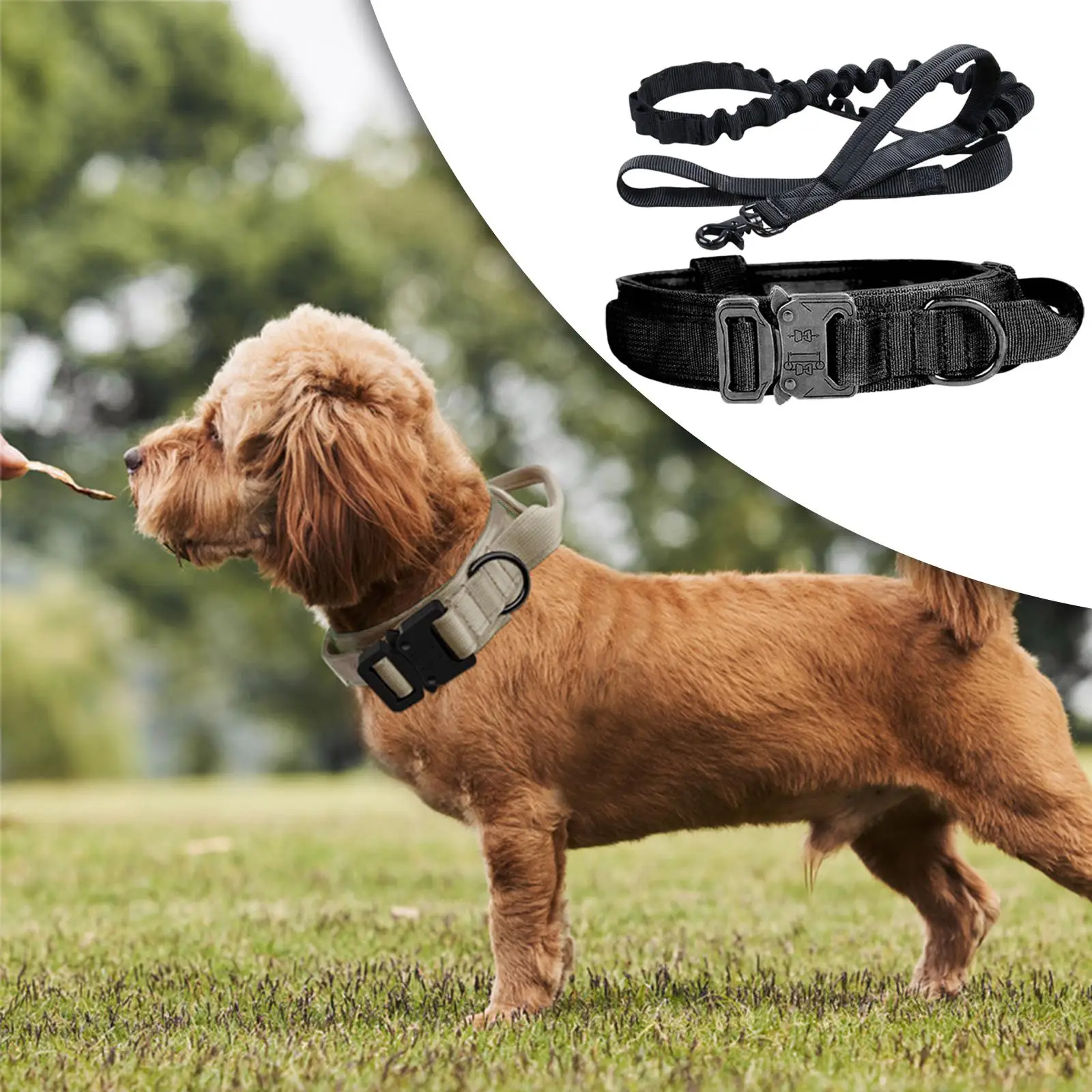 Tactical Dog Collar and Leash Set with Metal Buckle for Medium Large Dogs Adjustable with Handle Large Dog Training Collar Nylon