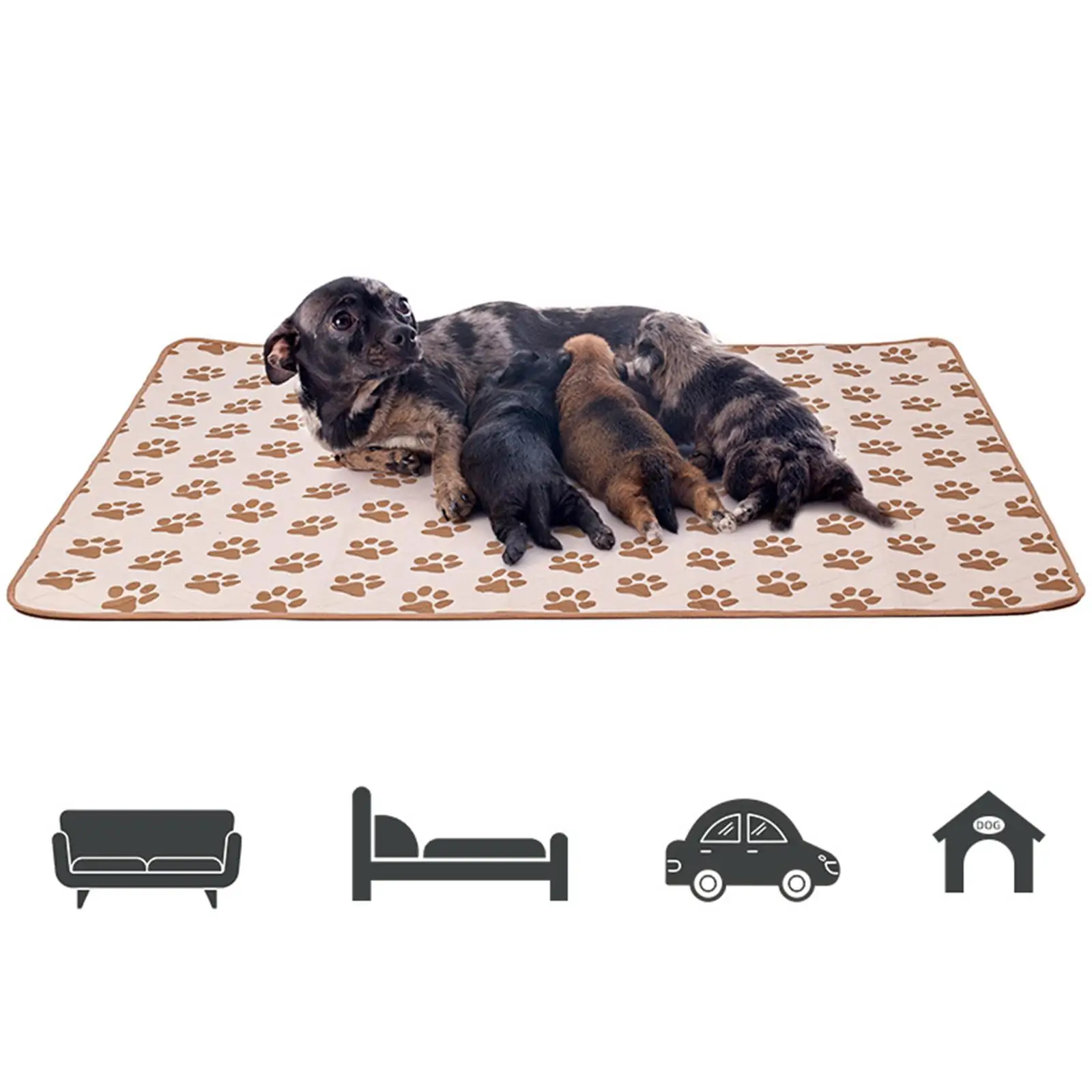 Dog Pee Pad for Puppy Kitten Crate Cushion Reusable Cat Mat Bed Sleeping Pad