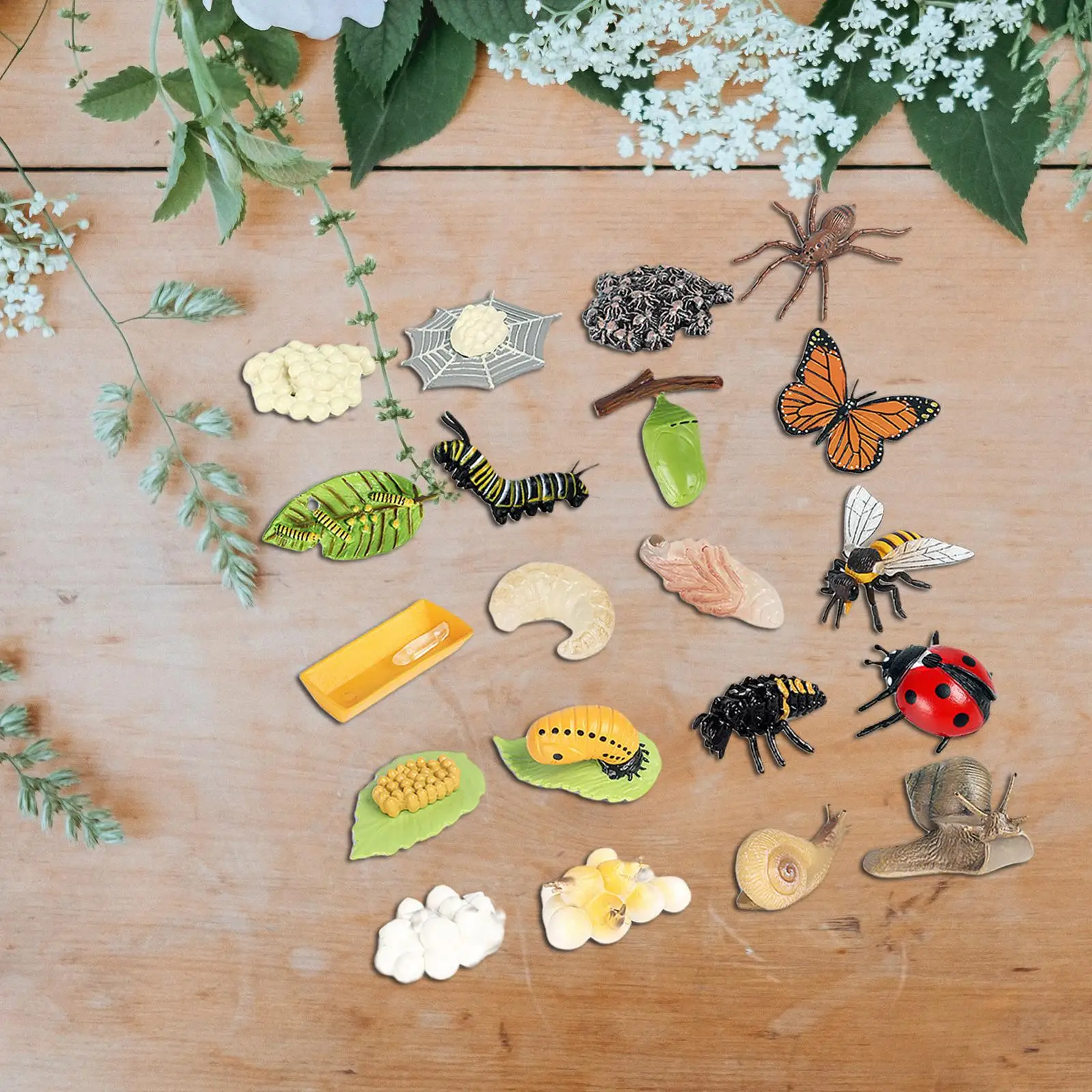 Insect Growth Cycle Set Model Kit Party Favors Science Cognition Teaching Tools Lifelike for Students Kids Preschool Toddlers