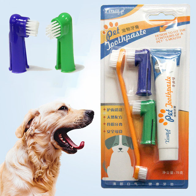 Canine toothbrush and shops toothpaste