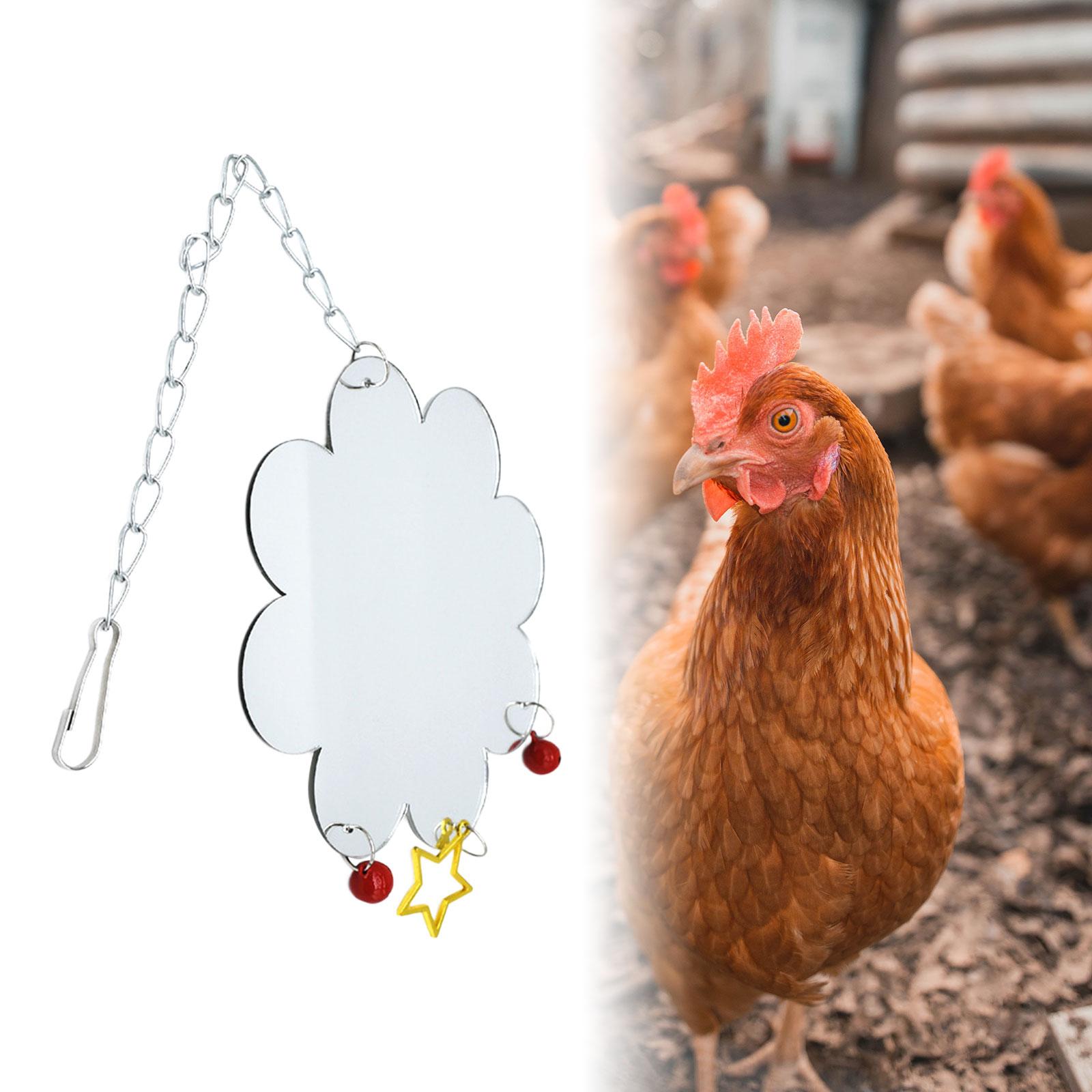 Chicken Mirror for Coop Roosters Parrot Mirror Chicken Mirror Toys with Bell