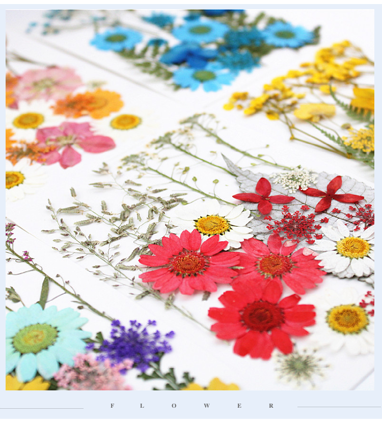 hmqViviiyNSAyin6WuaVt4ddy+MtkUIEoFno