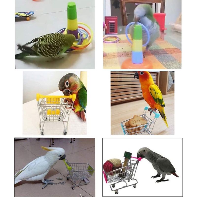 Title 4, Bird Toys 4 Types Parrot Toy Set Include Basket...