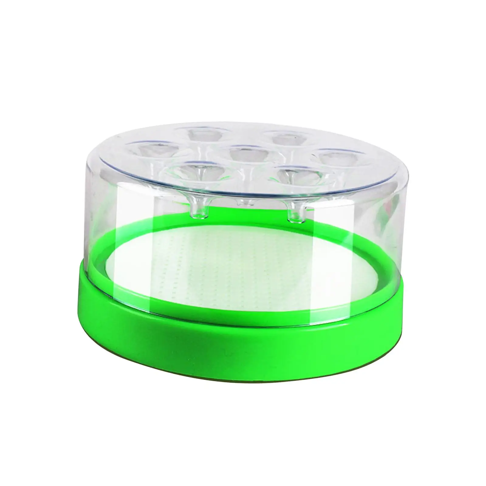 Fly Catching Cage Effective Clear Professional Fly Traps Fly Repellence for Park Hotel Indoor Outdoor Living Room Kitchen