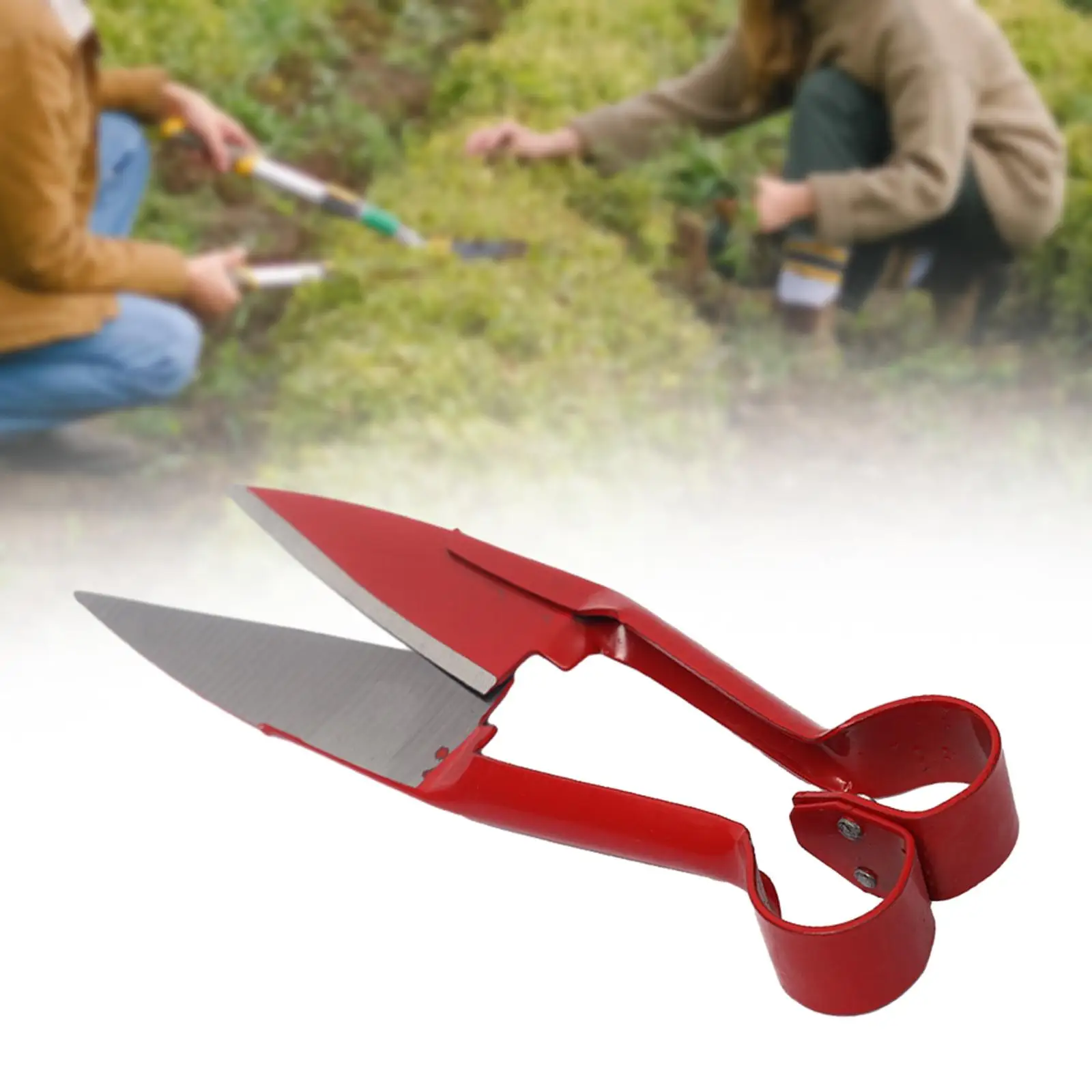 Manual Hand Shearing 10.24`` Handheld Nonslip Adjustable Gardening Gadget Alpaca Shear Garden Pruning Shear for Park Bonsai Farm