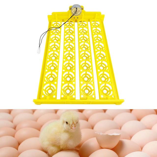 Egg Incubator Tray, Automatic Hatcher Tray, Holds 32 Eggs for Bird Duck Chick