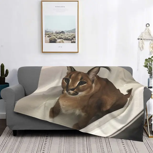 Cobertor divertido grande floppa gato macio quente fofo leve cobertor super  macio para mantas cobertores todas as estações para quarto sala de estar