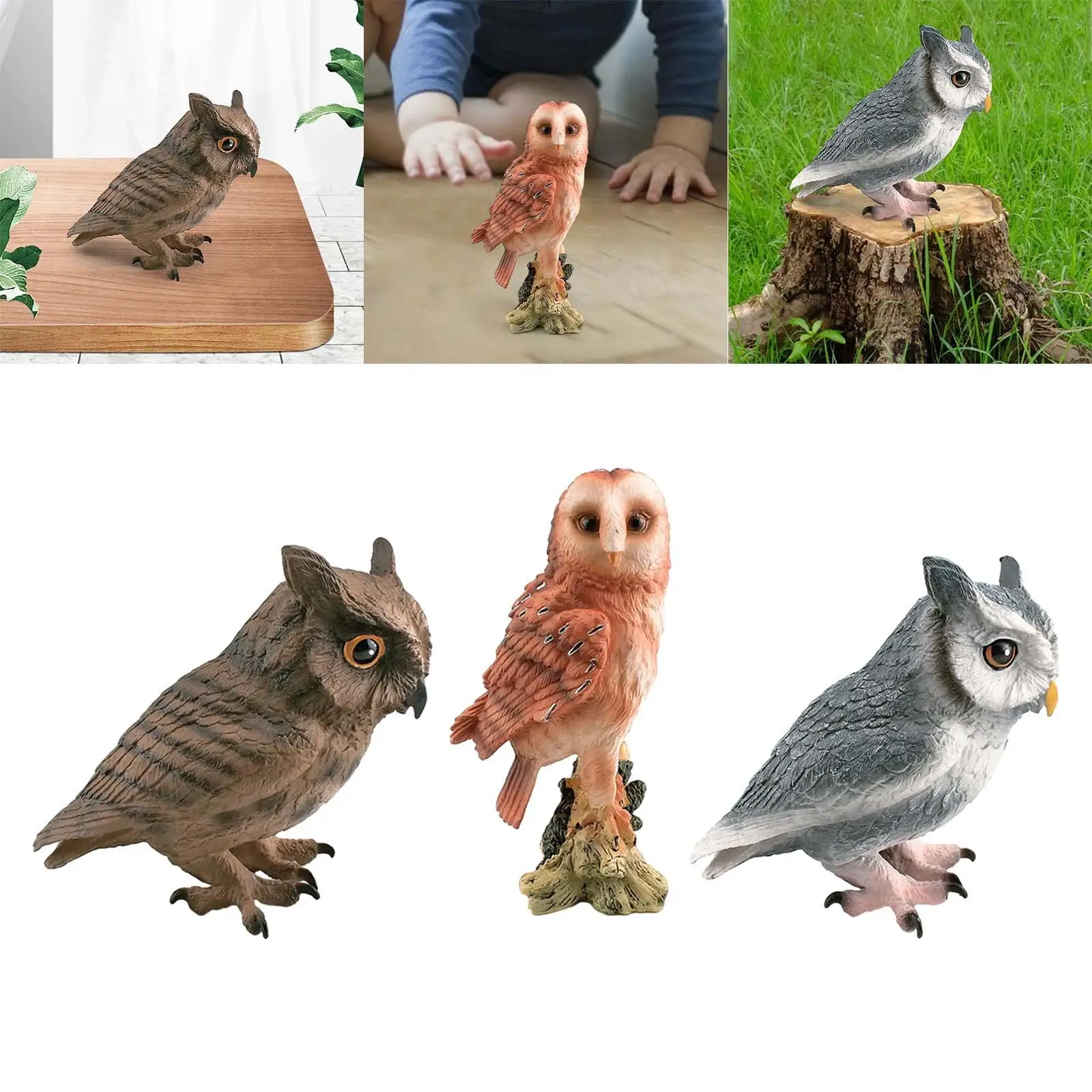 Simulation Owl Model Collection Playset Desktop Decor for Teaching Materials Decor Educational Birthday Gift Yard Decors