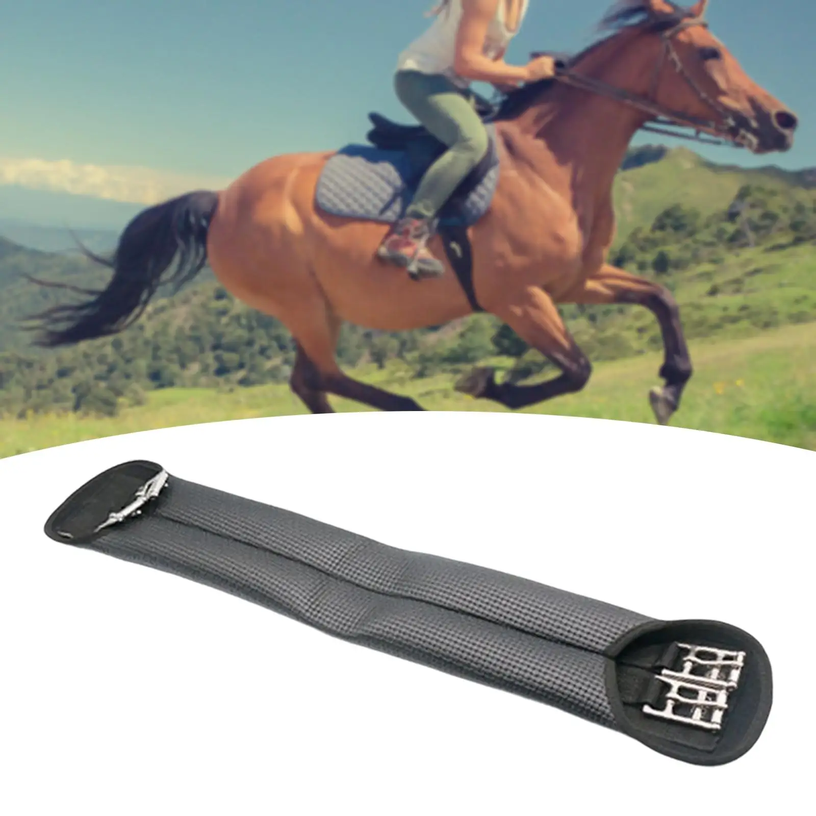 Horses Riding Equestrian Safety Equipment Comfortable Safety