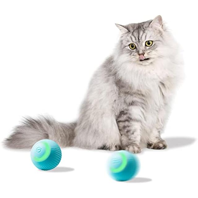 Awesome 2024 cat toys