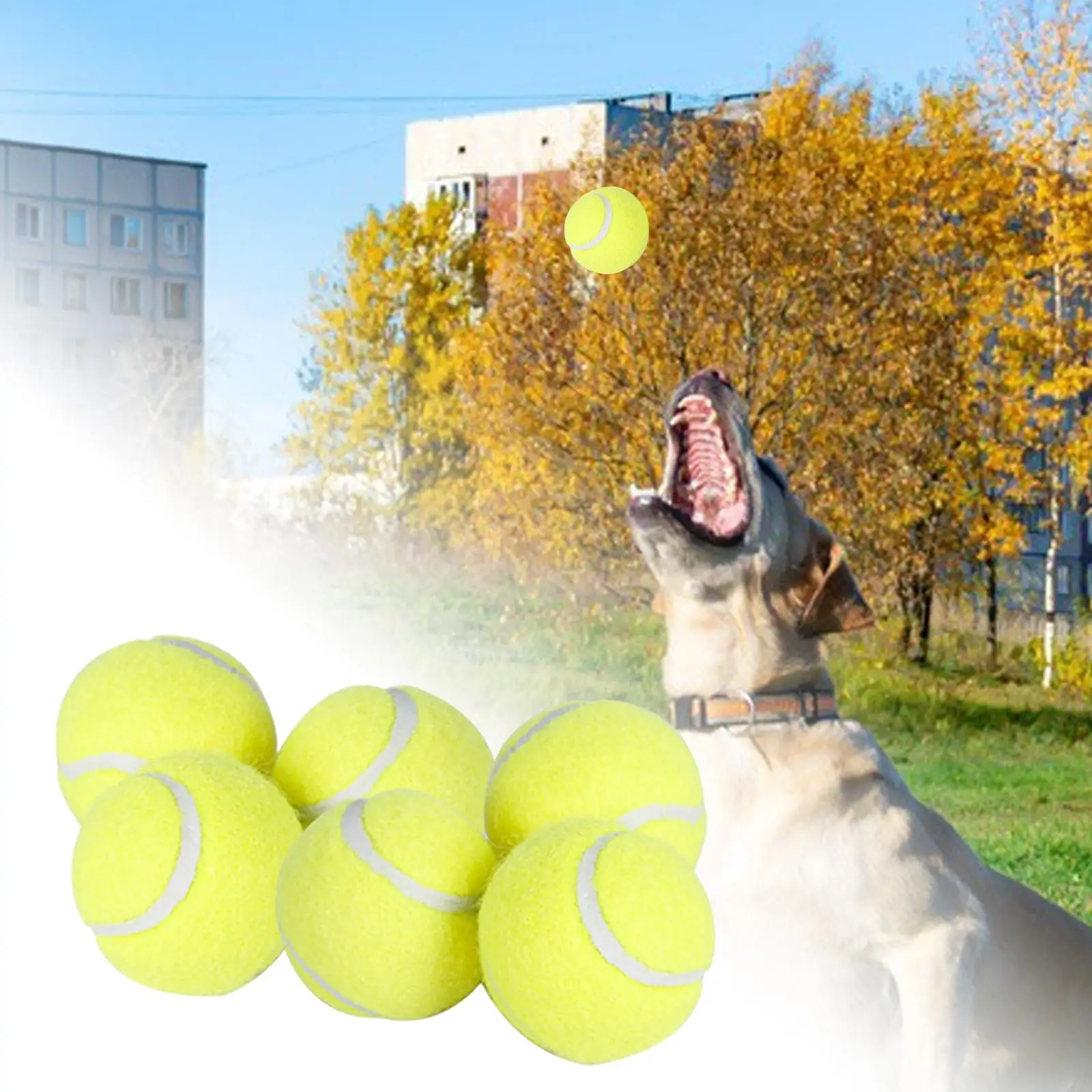 s s,  Balls s Durable to Exercise and Playing,  Bright Colors Rubber Dog Balls   Ball Launcher