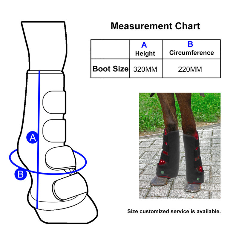 Infrared Light Horse Portable Phototherapy LED Tendon Boots