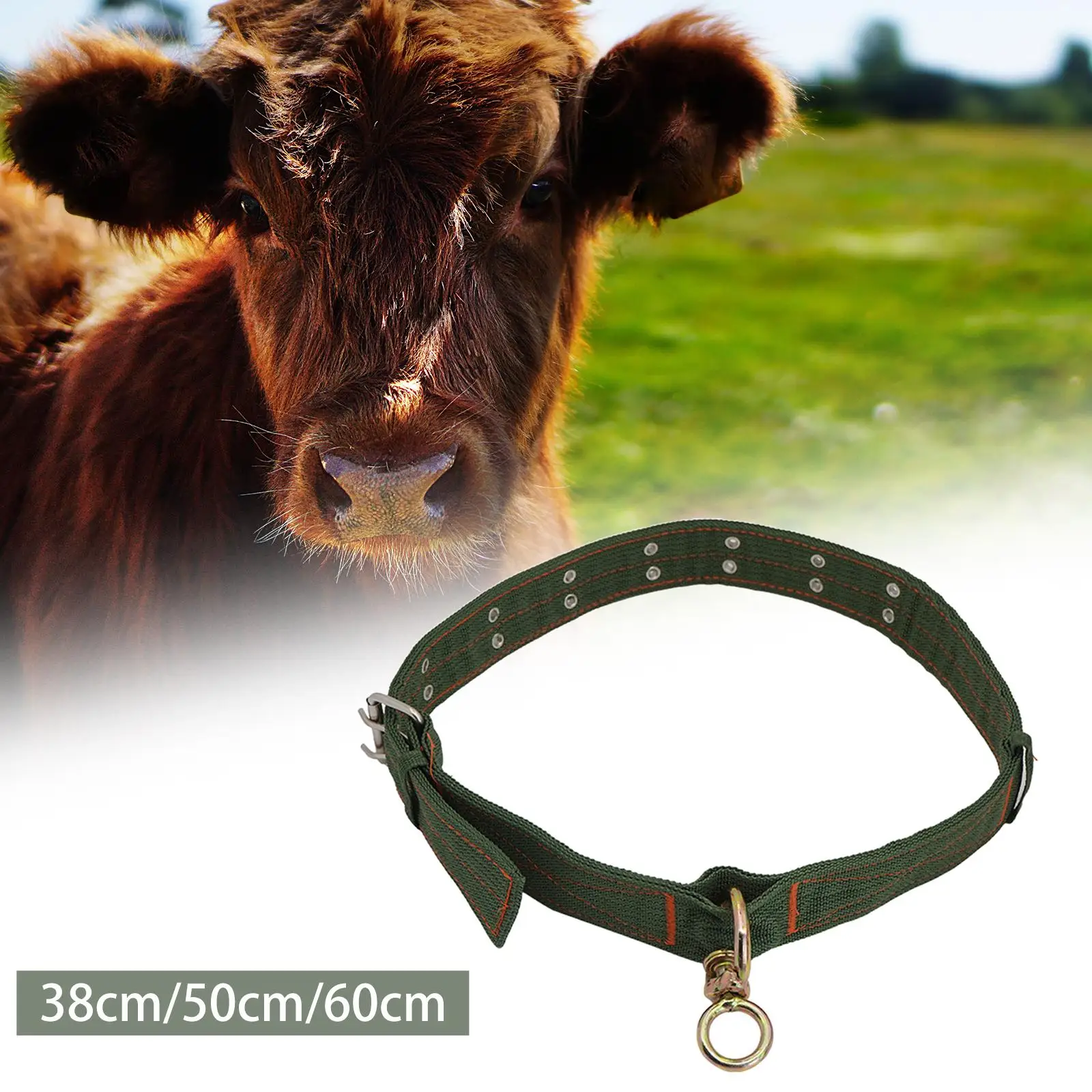 Pets Collar Four Layer Thickened 2 Rows Metal Buckle Traction Chain Sheep Collar Cow Neck Collar for Animals Sheep Pets sheep