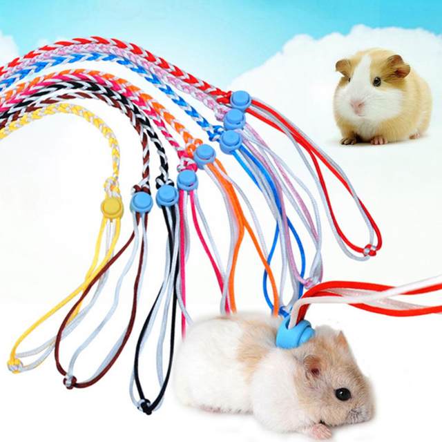 Guinzaglio Regolabile Per Piccoli Animali - Per Criceti, Furetti E Ratti