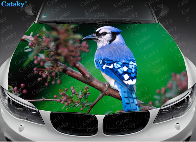 Blue Jay Bird Beautiful Majestic Avian Ornithology Animal Cartoon Vinyl  Sticker (4 Wide, Flying) : : Automotive