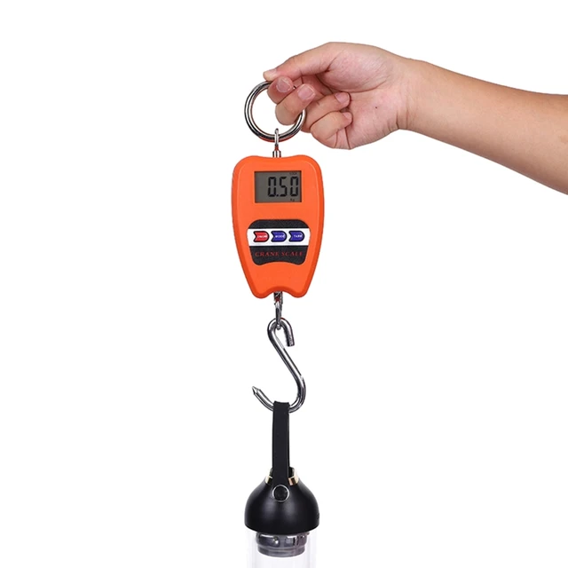 200kg 50g Crane Scale Weight Digital Scale Heavy Duty Hanging Hook Scales  Portable Digital Stainless Steel Scales - AliExpress