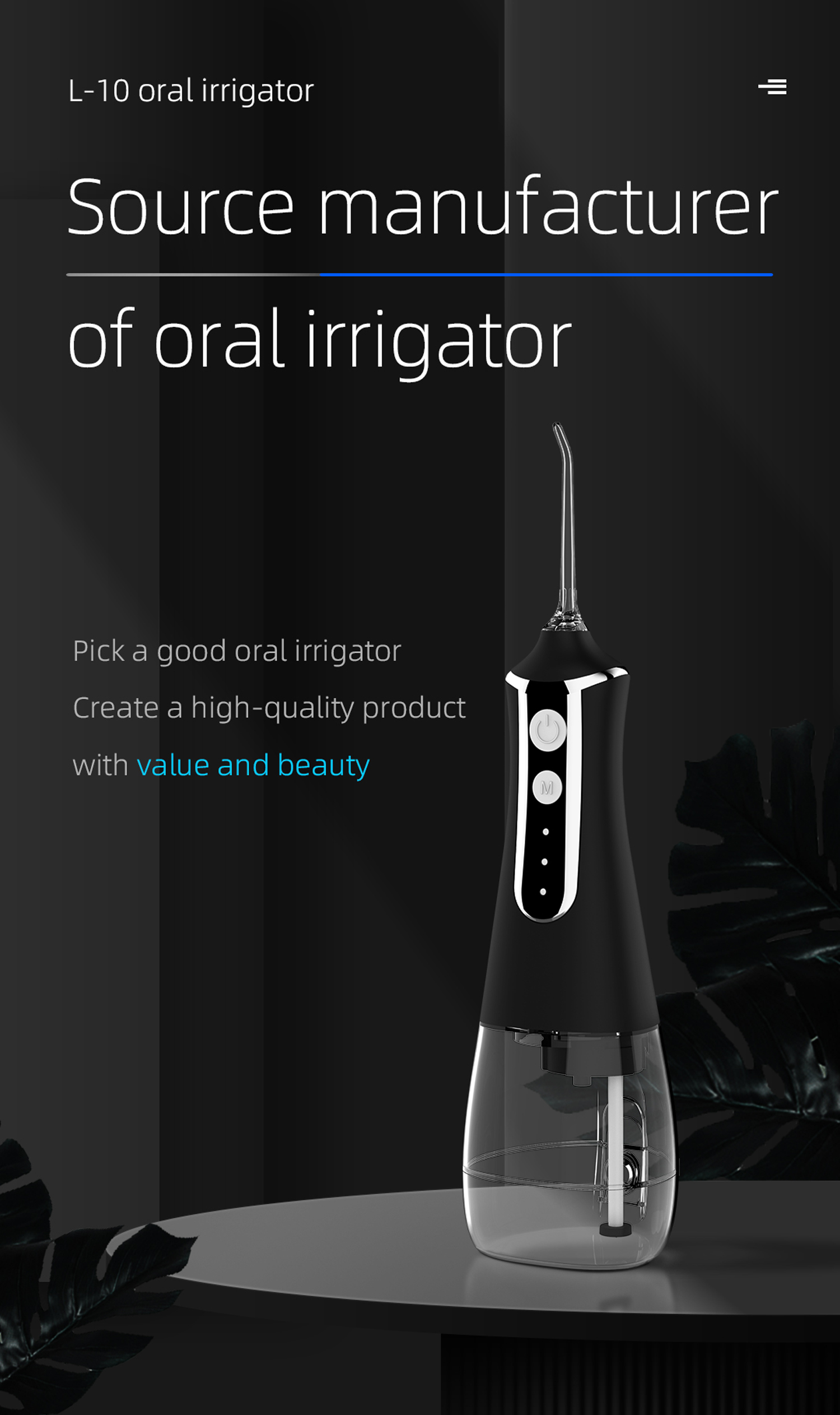 Title 10, LISM Oral Irrigator USB Rechargeable Water Flos...