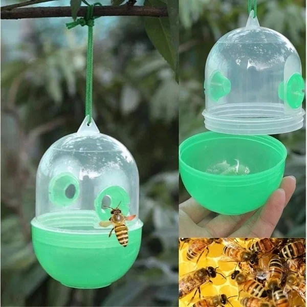 Description Picture 2 of itemFly Trap Reusable Wasp Hanging Fly Trap Catcher Beekeeping Catcher Cage Equipment Tool for Wasps Bees Hornet Pest Control Garden