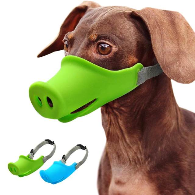 Museruola Cane Taglia Media Museruola for cani Maschera for cani da  compagnia Anti-morso Smettere di abbaiare Museruole regolabili for animali  domestici di piccola taglia Museruola Cane ( Color : D , 