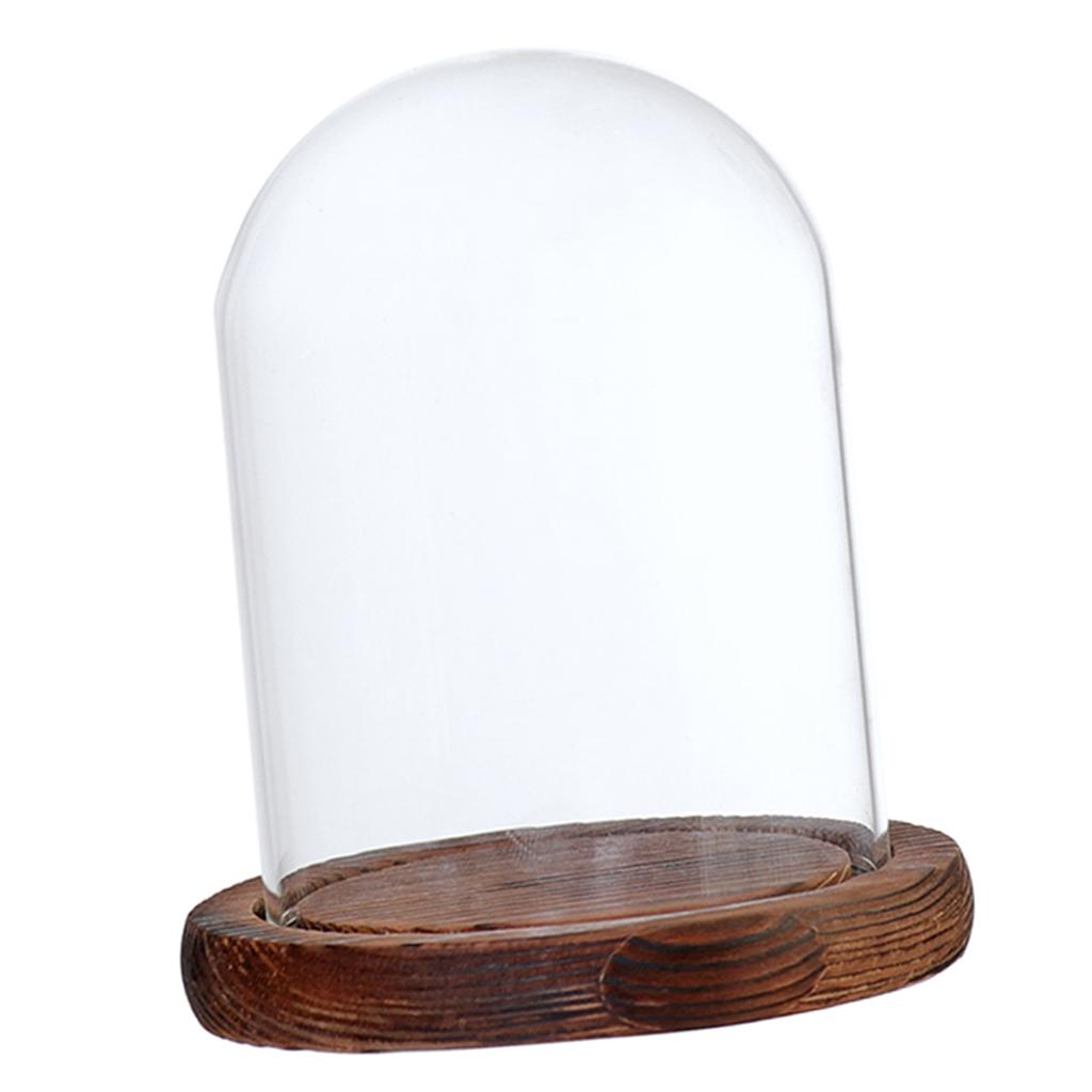 Glass Glass Display Dome Cloche Bell Jar with Wooden Base DIY Decoration Garden Micro Flower Landscape Bottle Holder Home Decor