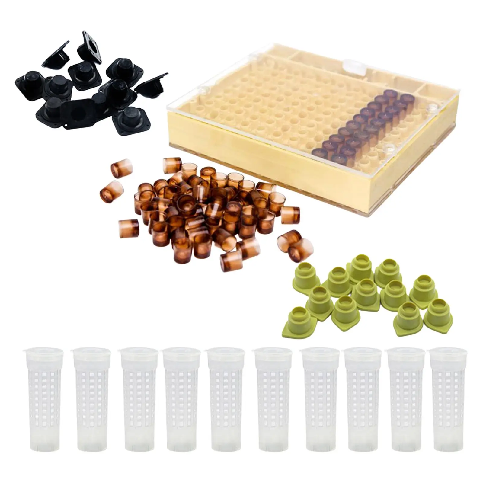 Beekeeping Complete Queen Rearing cup Kit Cultivating Box Accessories Equipment