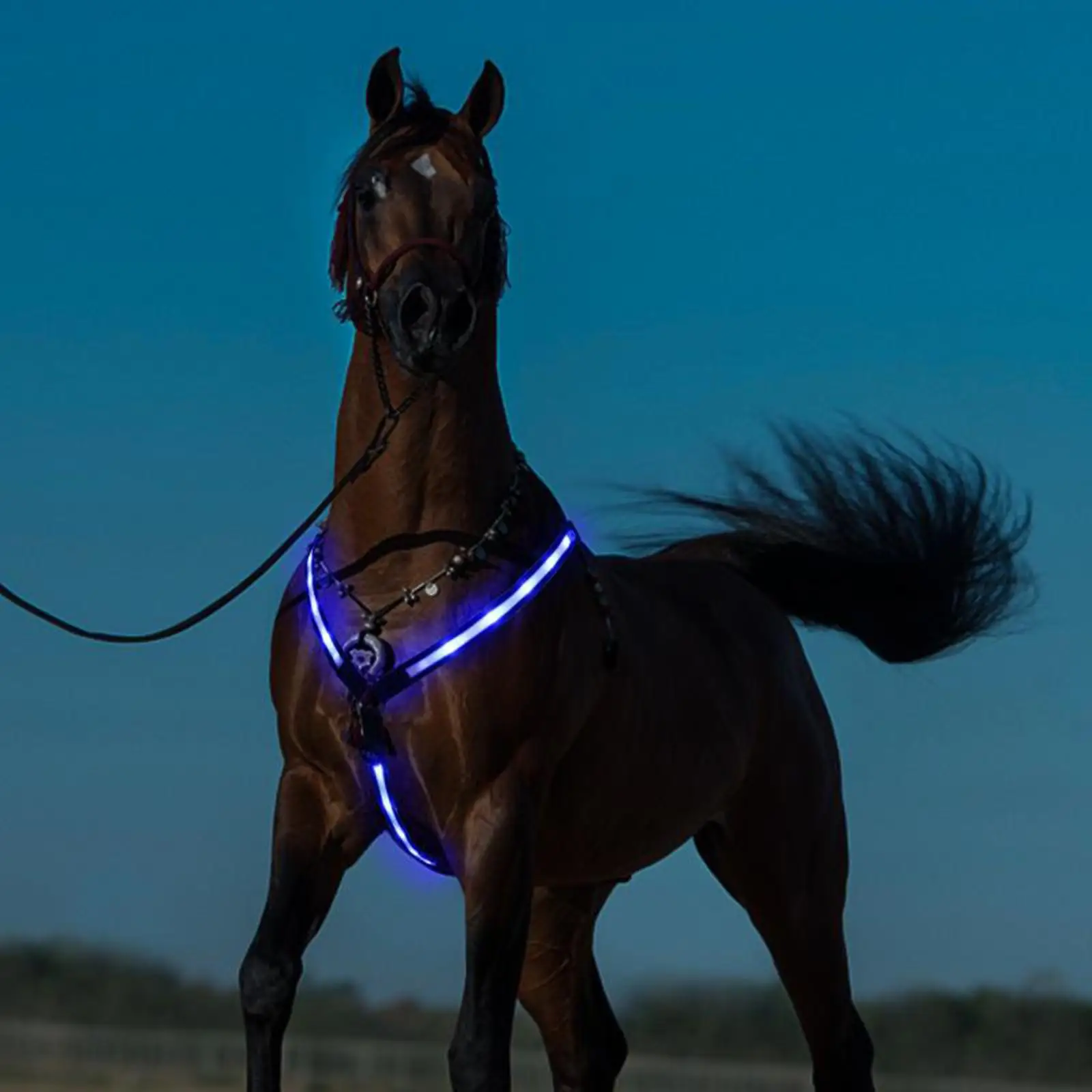 Reflective Horse Harness Breastplate   Collar Lights LED Night Visibility