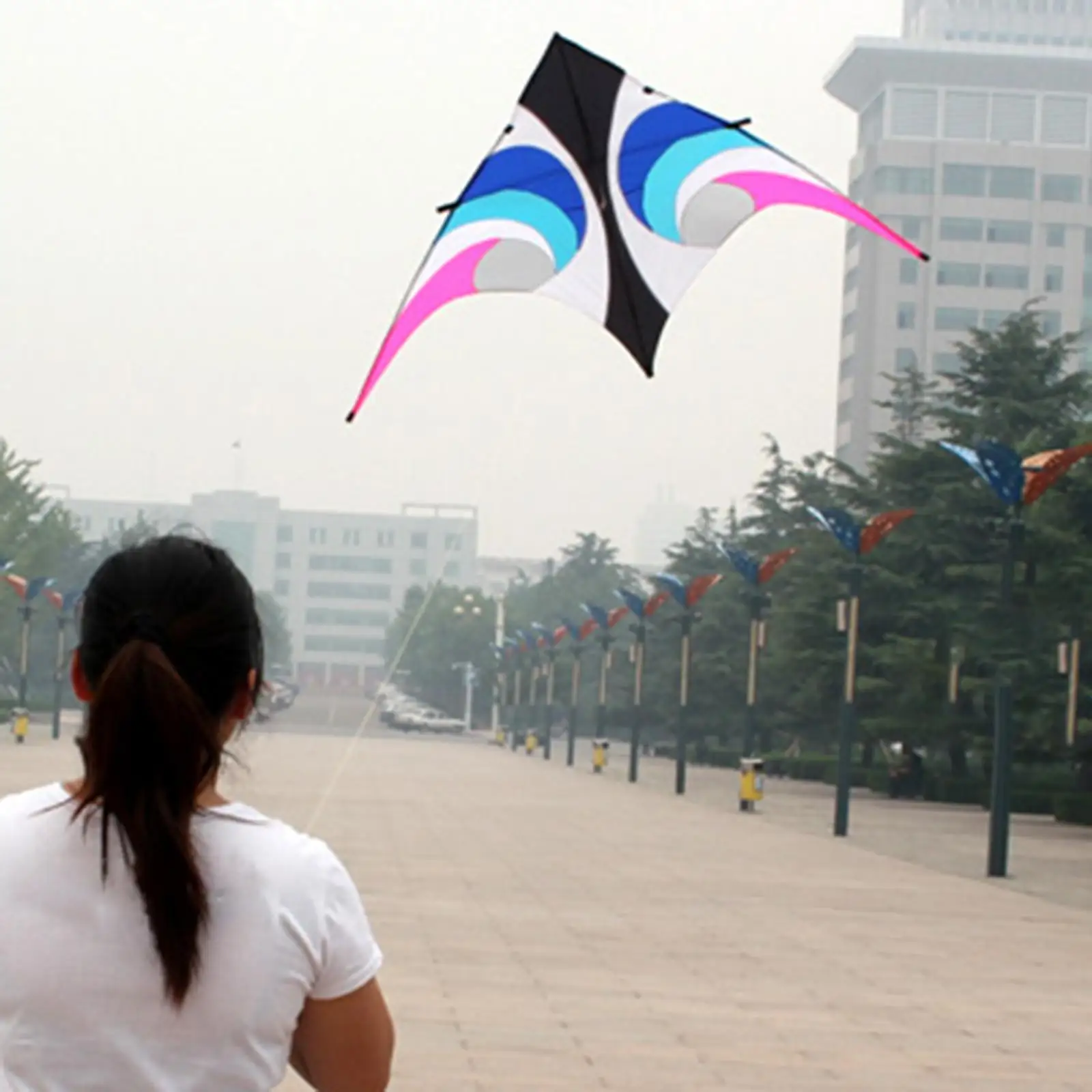 Single Line Kite Professional Easy to Fly Large for Sport Beginner Outdoor