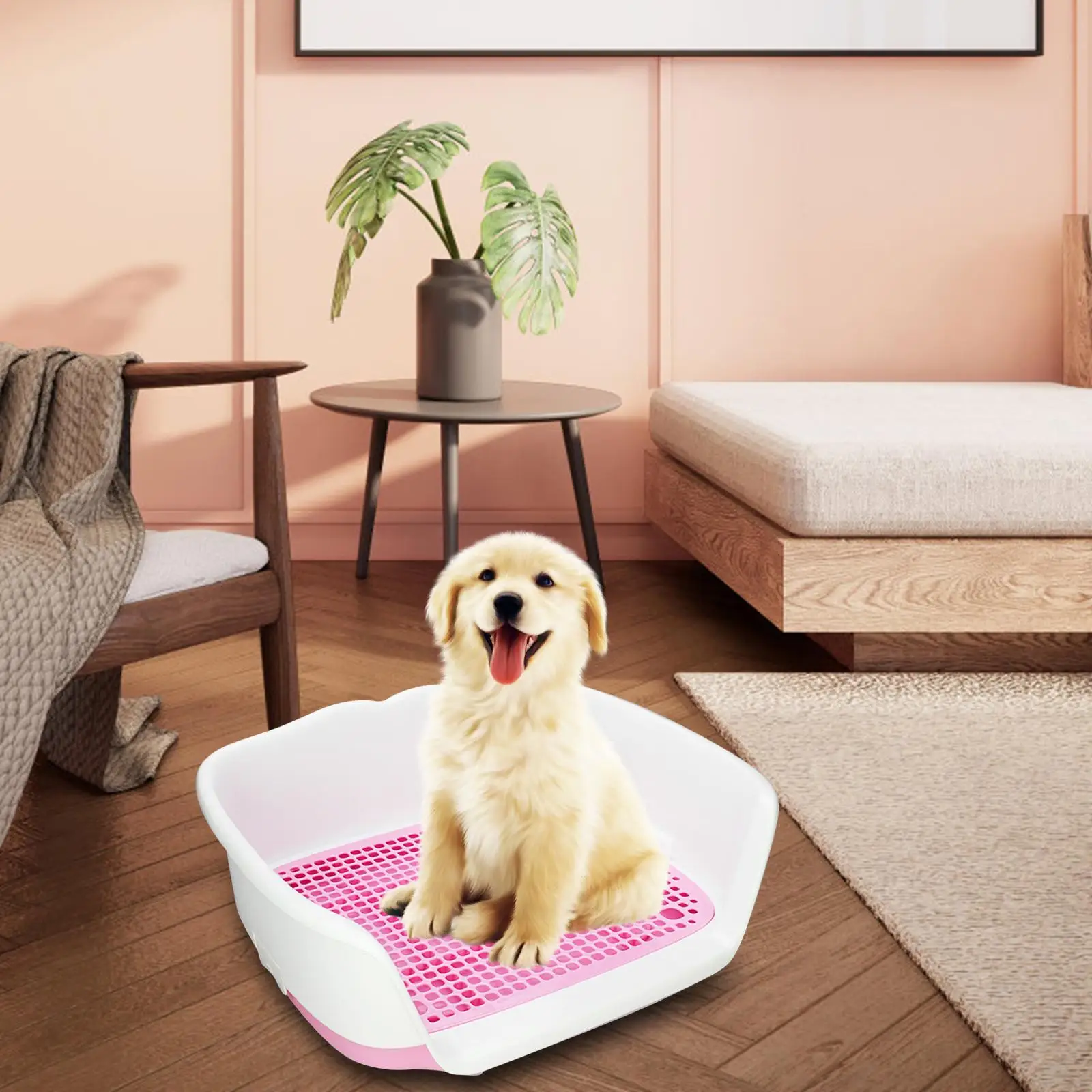 Removable Dog Potty Tray Keep Floors Clean with Protection Wall