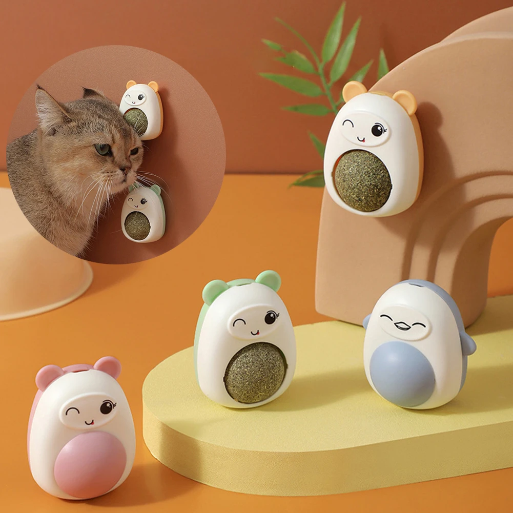 ⭐🏅jouet pour chat Boule murale en herbe-aux-chats, nouveauté