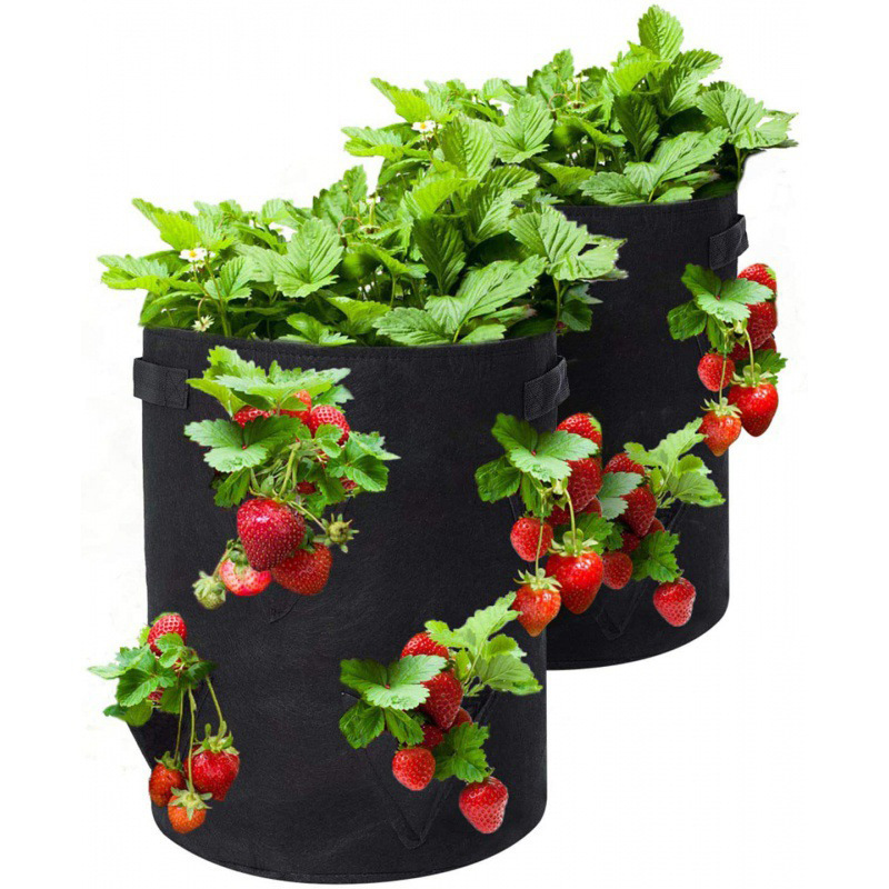 (Spring Hot Sale-save 50% Off) Strawberry Planting Bag