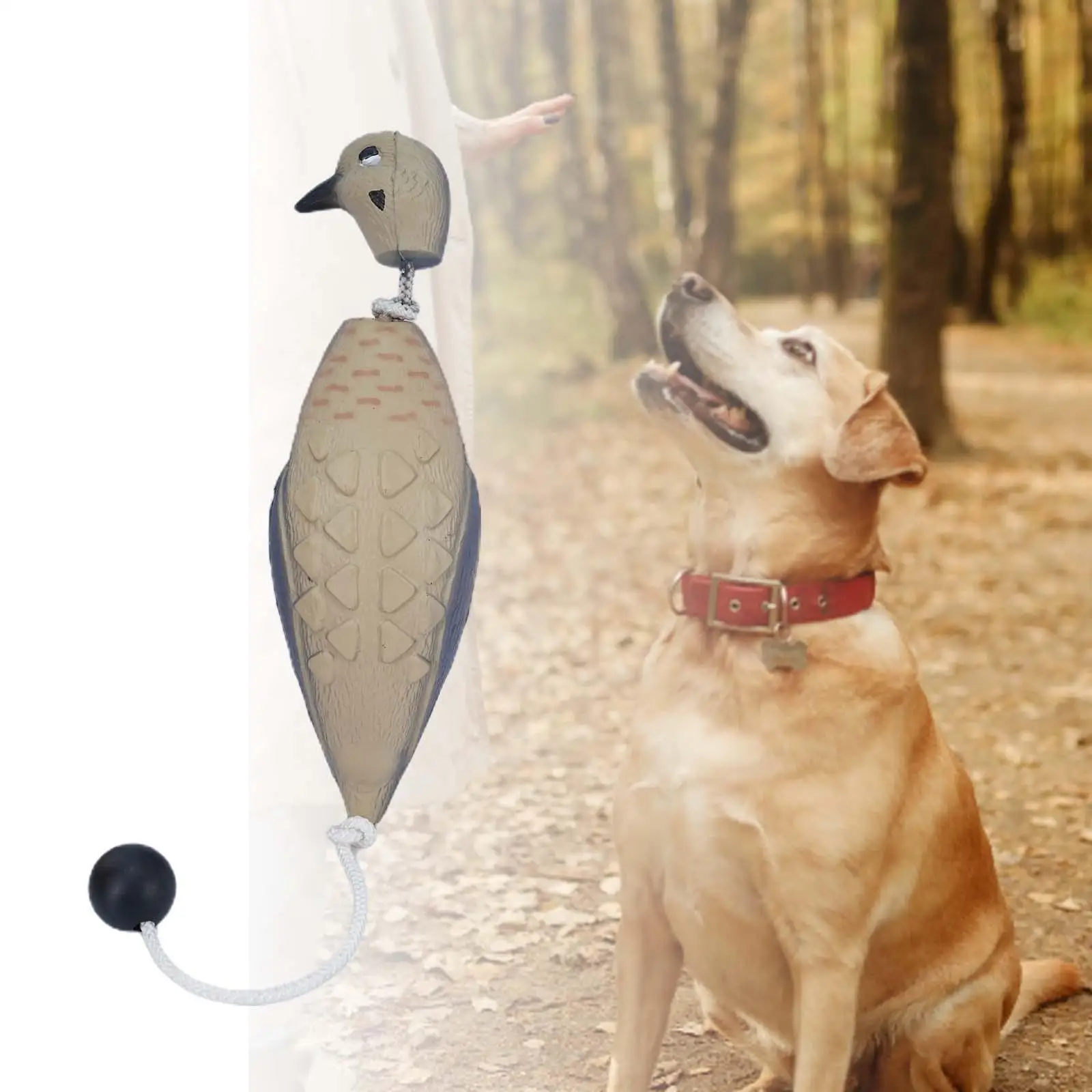 Hunting Decoy Fake Birds Dog Toy for Dog Training Durable Realistic Dove Decoy Ornament for Yard Lake Pond Decor