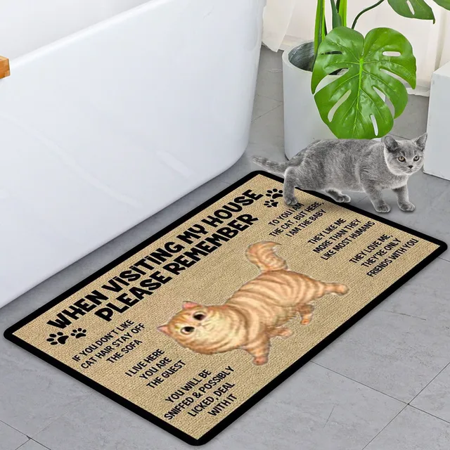 Keep In Mind When Visiting The House Cartoon Cat Welcome Doormats