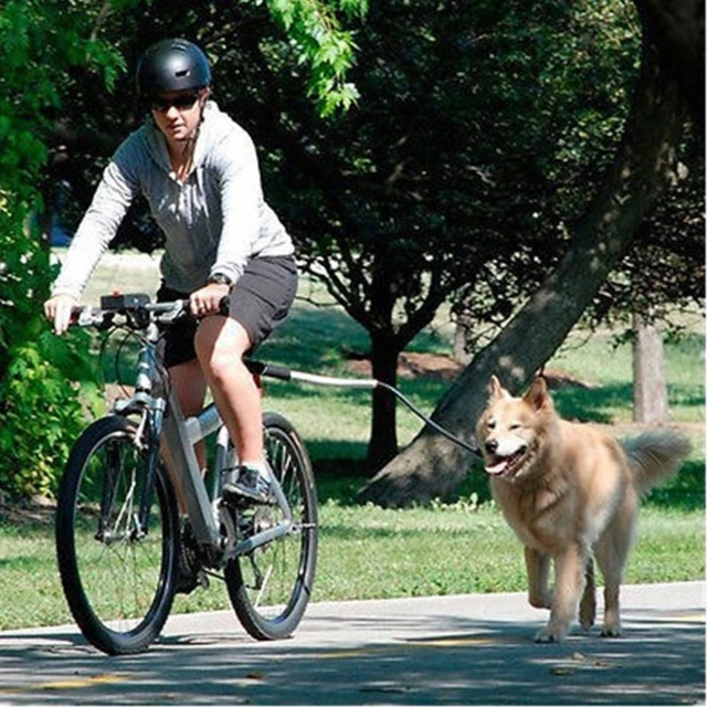 Hunde-Freisprechleinen, Welpen-Fahrrad-Traktionsseil mit gefedertem  Edelstahlgürtel für Hundewanderungen/Reisen - AliExpress