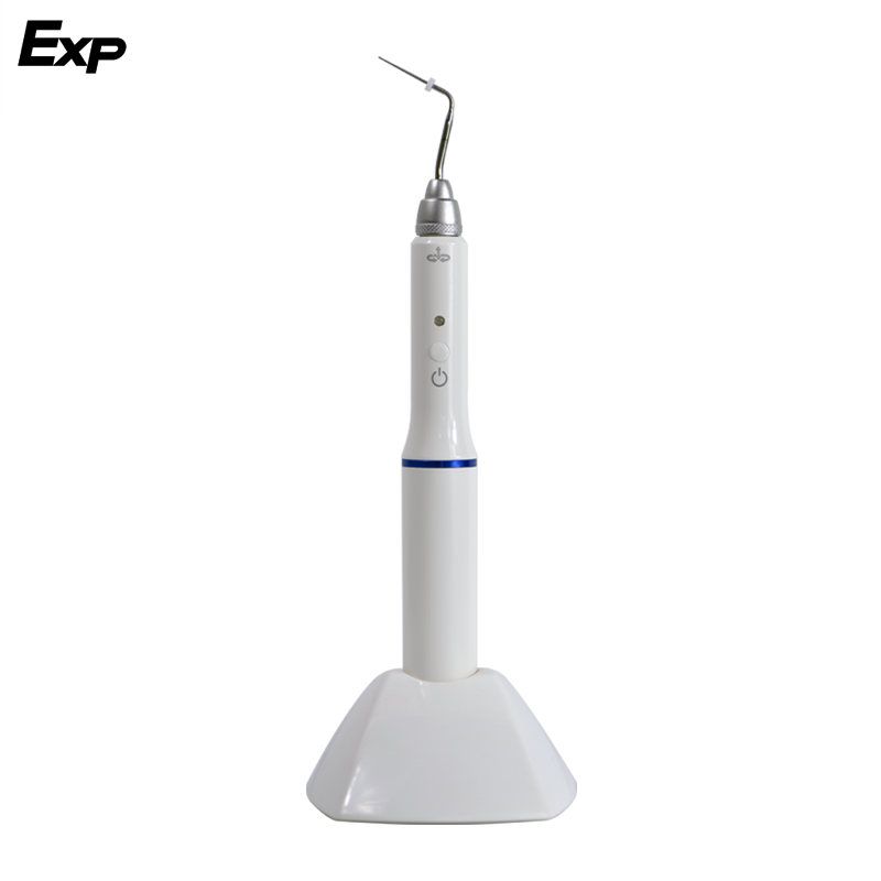 Best of EXP DENTAL Dental Cordless Wireless Gutta Percha Obturation System Endo Electric Heated Pen With 2 Tips Dentistry Tool Reviews & Tips