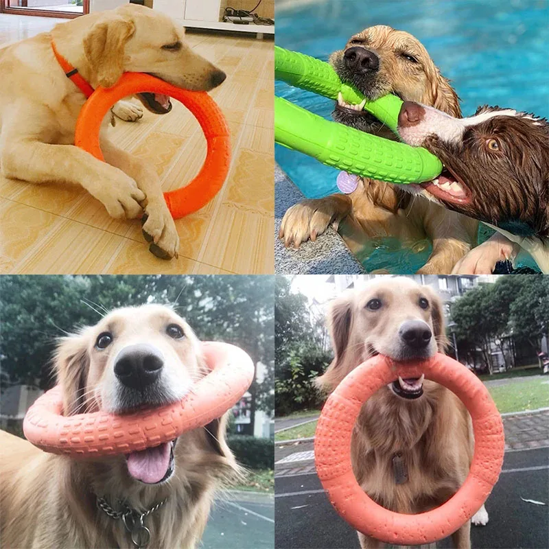 La imagen es un collage de cuatro fotografías de perros jugando con frisbees. En cada foto, los perros sostienen los frisbees en la boca, mostrando su disfrute de la actividad. Los frisbees son de color naranja y verde y los perros parecen estar divirtiéndose.