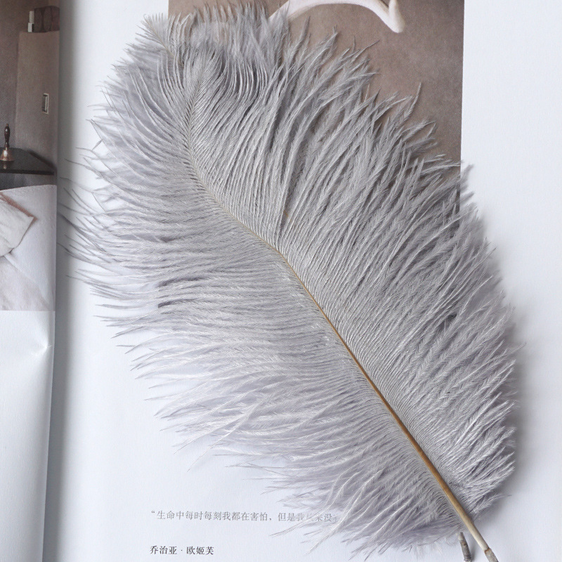 Title 11, INS Ostrich Feathers Photo Props Ornaments Man...