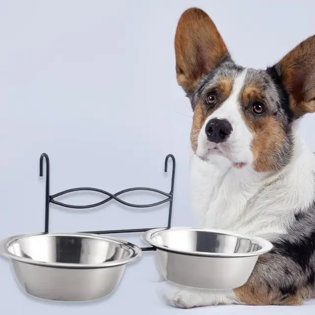 Buy Wholesale China Popular 2 Pcs Extra Large Dog Water Bowl 2.7 Gallon  Stainless Steel Dog Bowls High Capacity Metal Dog Food Bowls & Dog Bowl at  USD 5.69