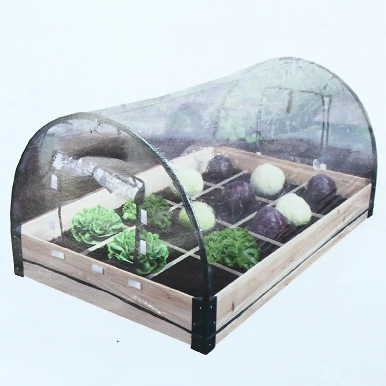 Mini Greenhouse with Clear Frost s Greenhouse for Patio Home