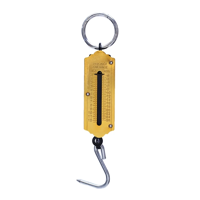 Hanging Scale, Fishing Scale