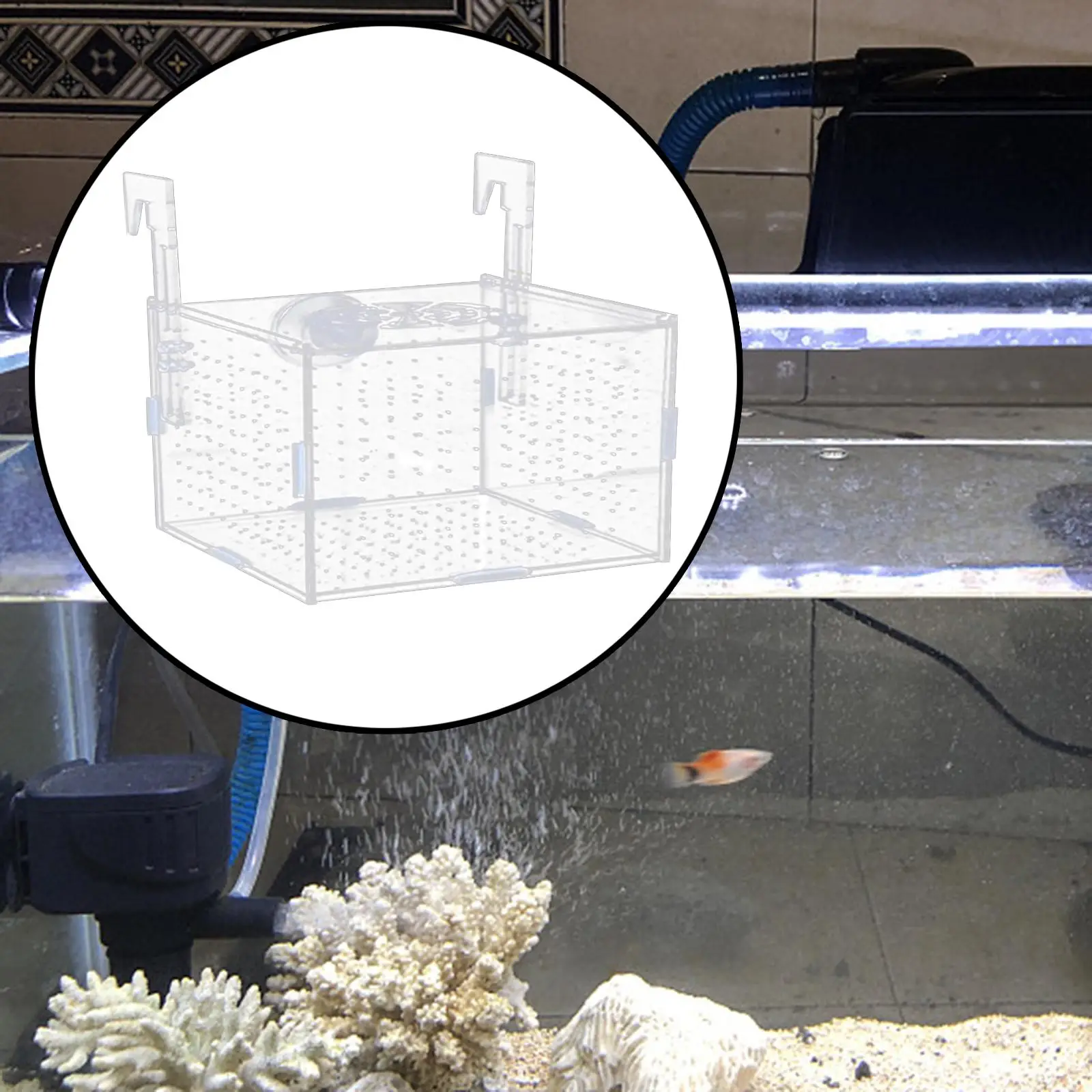 Aquarium Isolation Box Multifunction Aquarium Supply Fish Breeding Holder for Newborn Fry Guppy Aggressive fish babies prawn