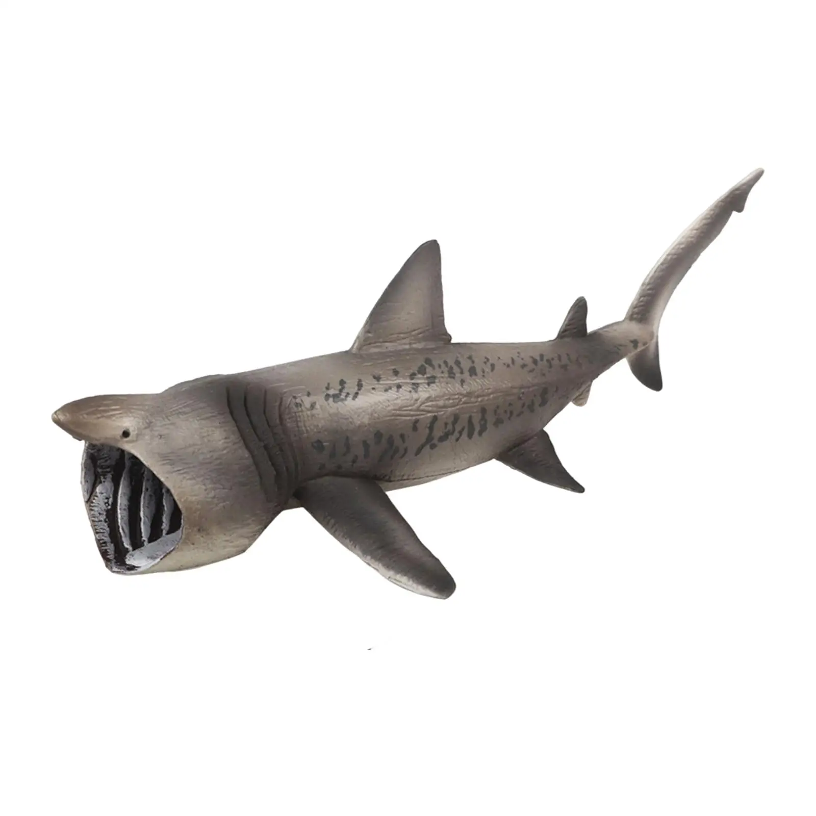 Basking sharks Model Model Collection Playset Educational Learning toy Creatures