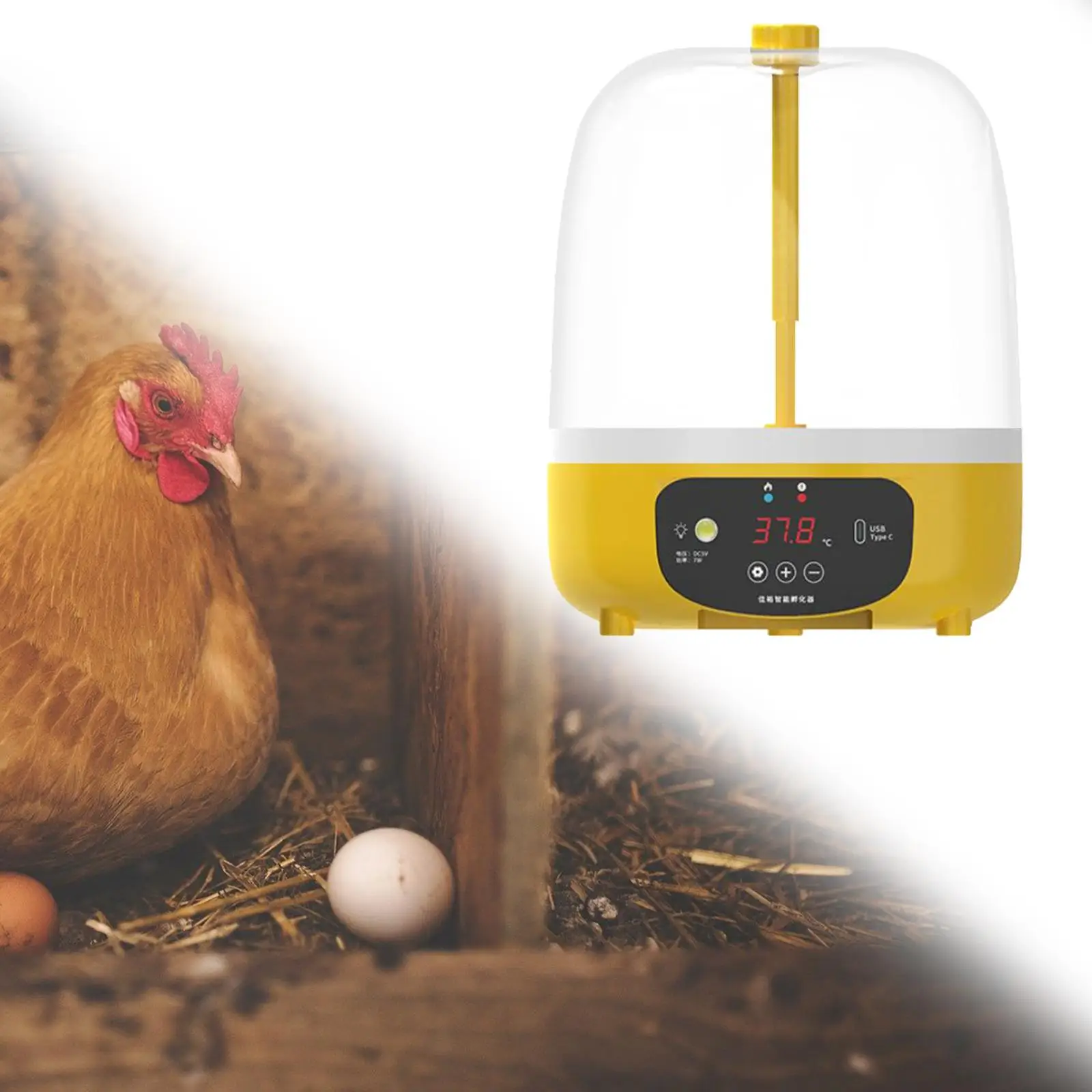 Portable Digital Automatic Egg Incubator 5 Eggs Auto Turner Small Poultry Hatcher Machine for Hatching Parakeet Quail Goose Bird