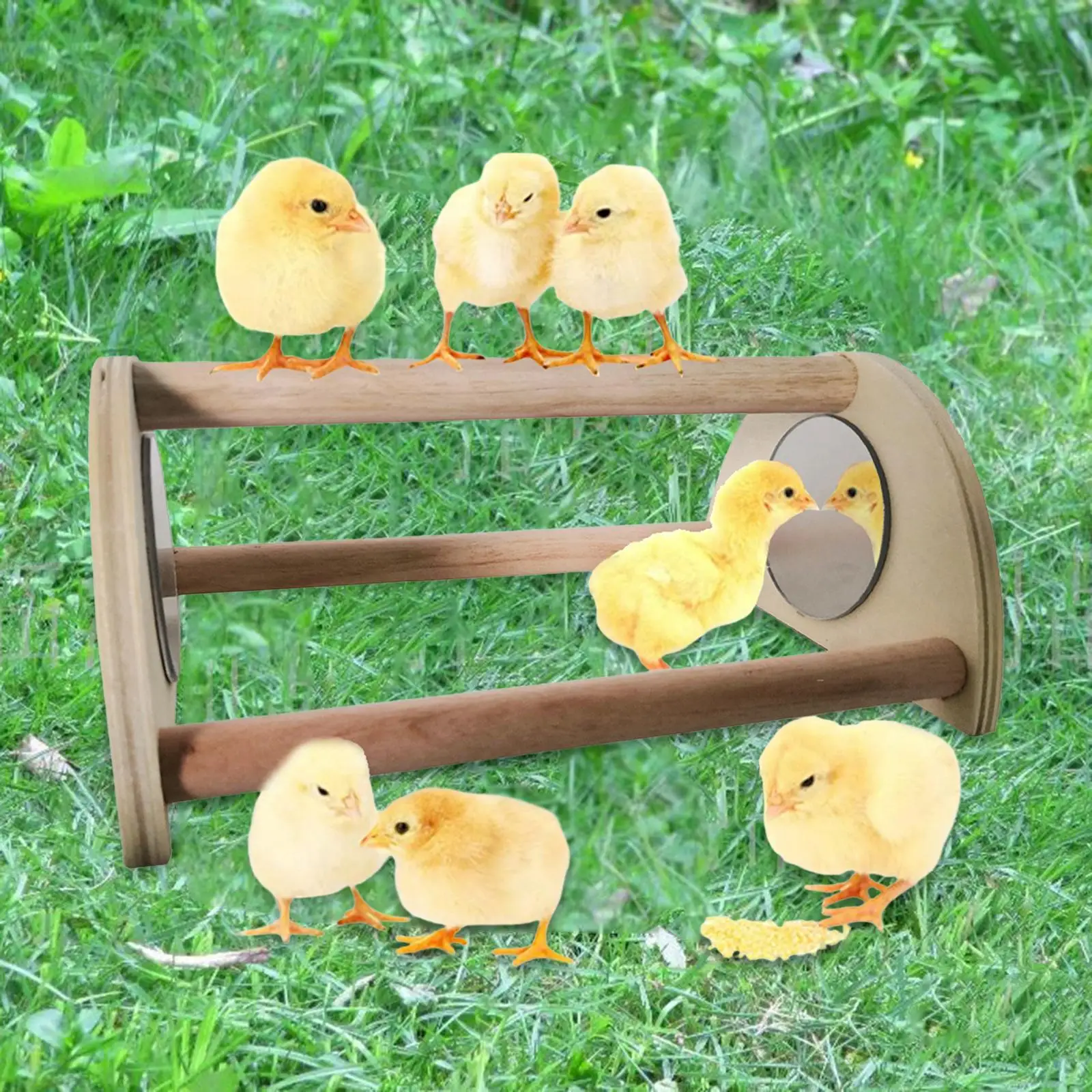 Chick Perch with Mirror Strong Playstand Chicken Wood Stand for Parrot Macaw