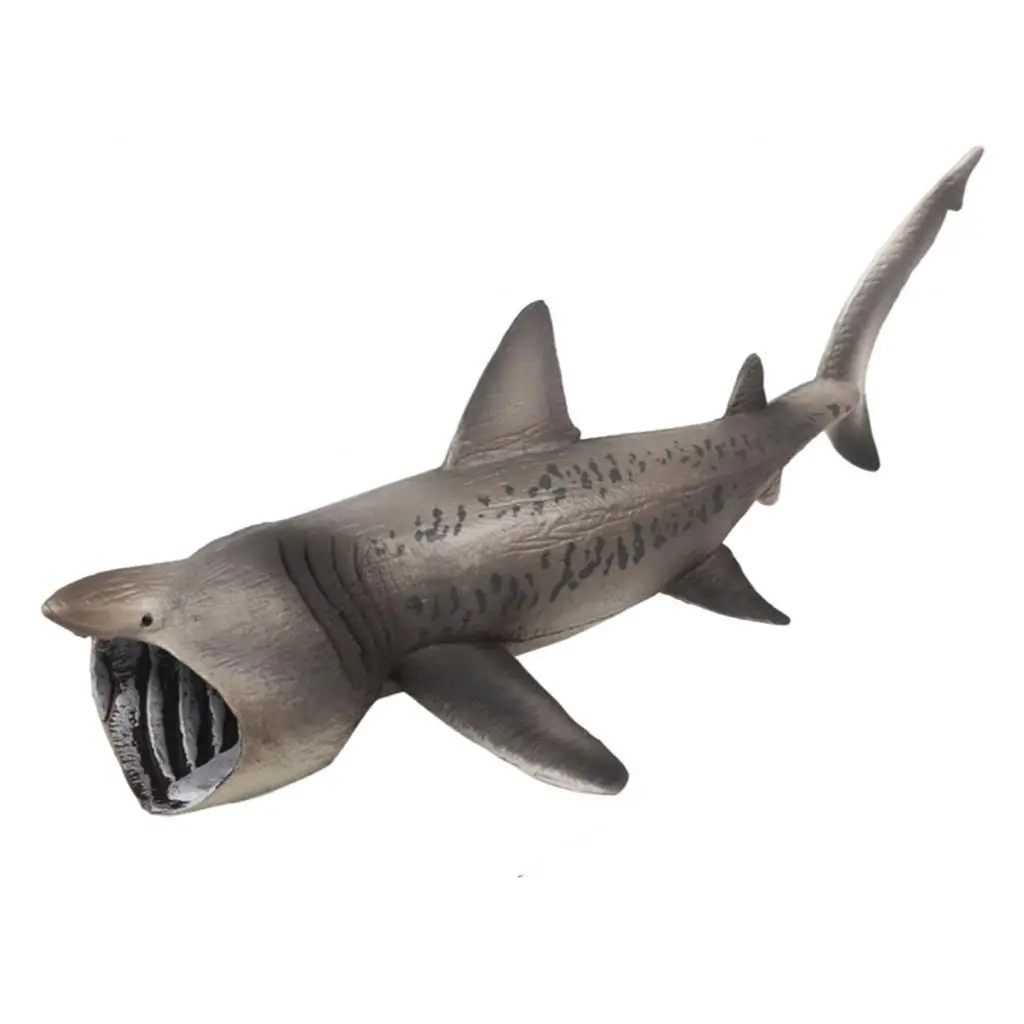Realistic Basking Sharks Model Model Collection Marine Creatures Figures