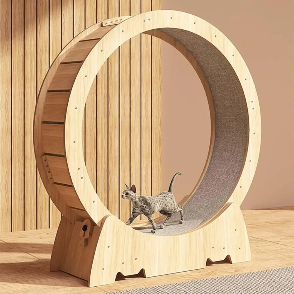 A wooden cat exercise wheel with a feline friend on it.
