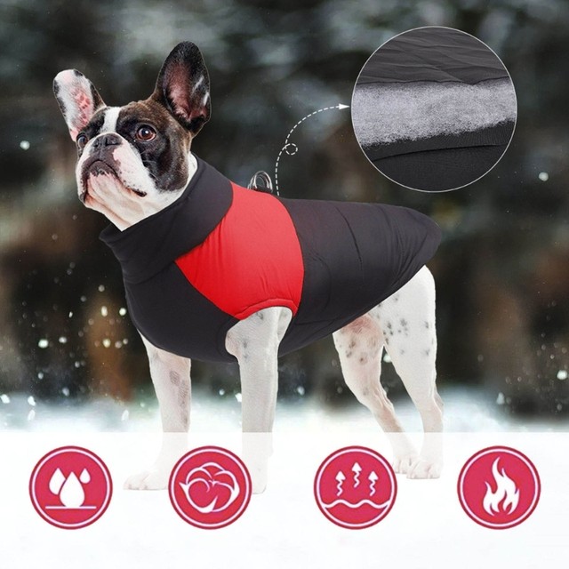  Ladybugs Pattern Dog Winter Coat for Dogs Dog Clothes Warm  Windproof Cozy Dog Jacket Pet Apparel for Small Meidum Large Dogs : Pet  Supplies