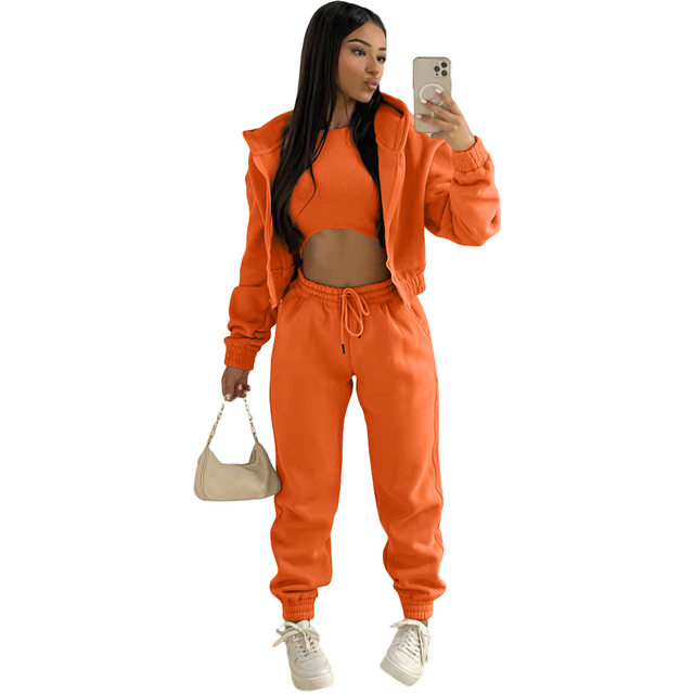 Winter Plush Warm Tracksuits Women 2 Piece Running Sets Thickened  Double-sided Fleece V-neck Hoodies Casual Pants Suit Outfits