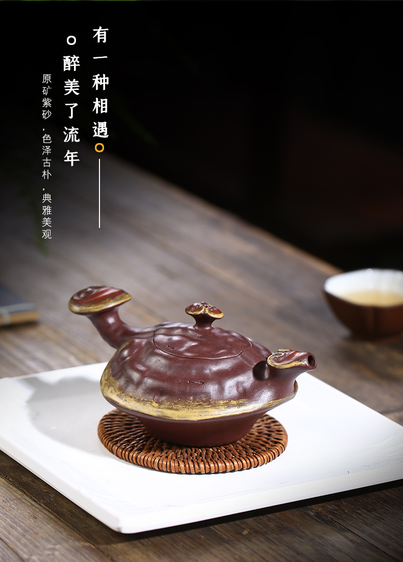 Ganoderma Ruyi_03.jpg